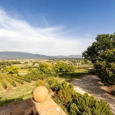 Collemancio La Soleggiata *