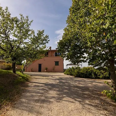 Collemancio La Soleggiata *