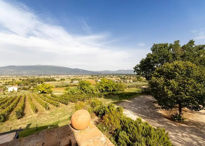 Collemancio La Soleggiata *